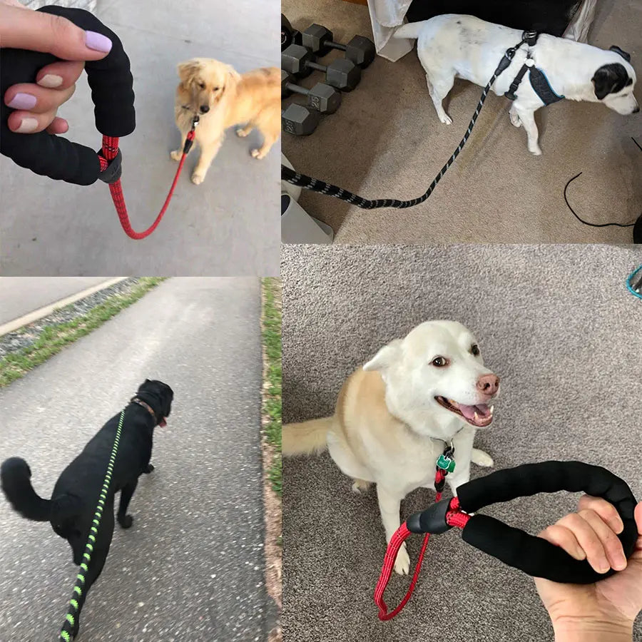 Pet Leash Reflective