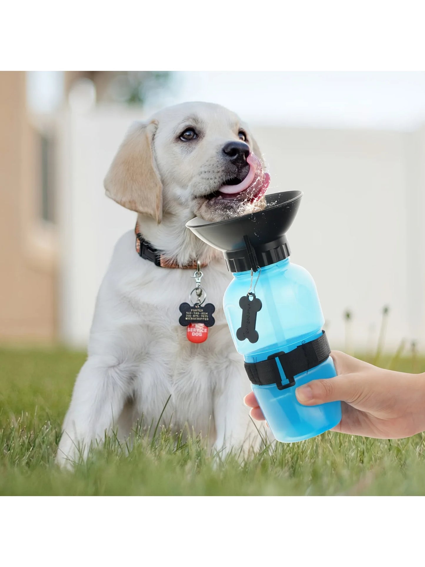 Plastic Portable/Travel Pet Water Bottle