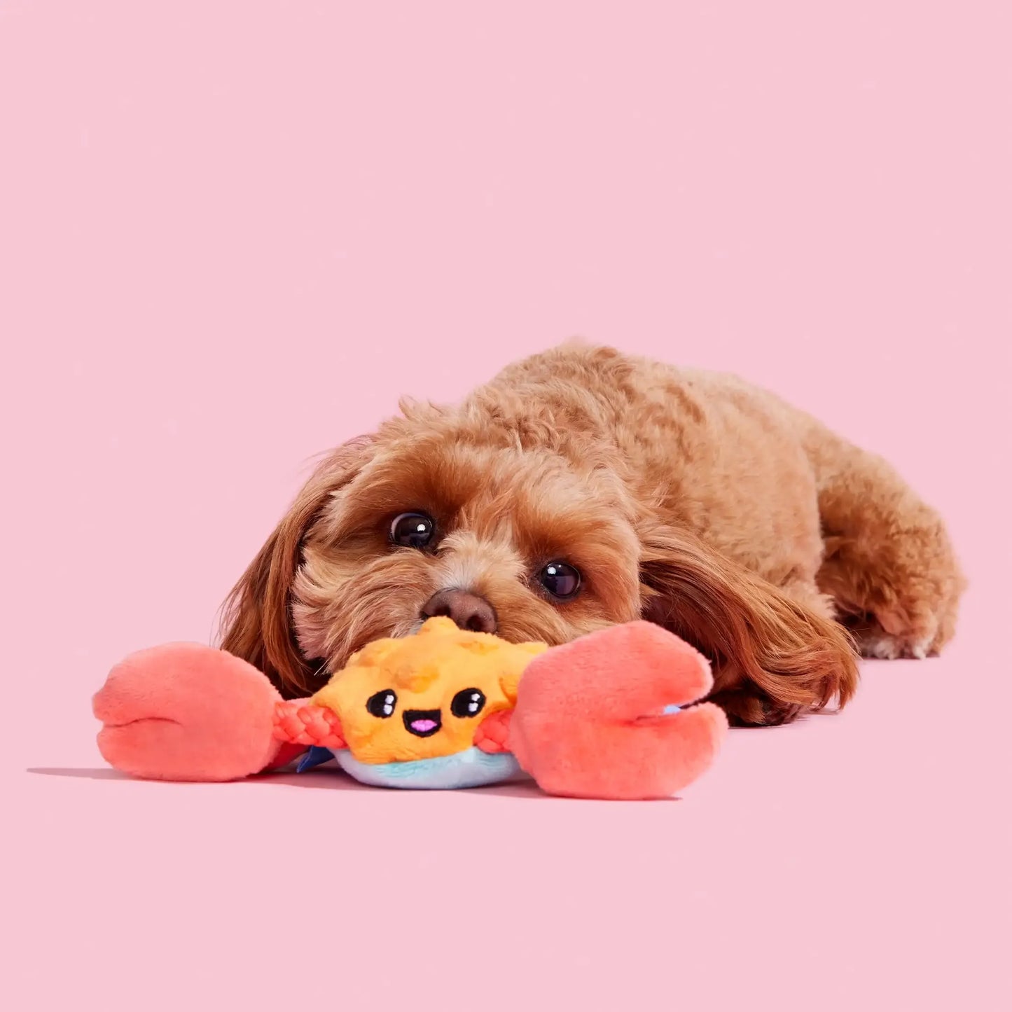 Plush Crab Pet Toy