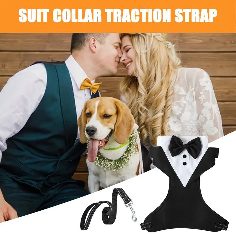 Dogs Tuxedo Bowtie Wedding Party Suit