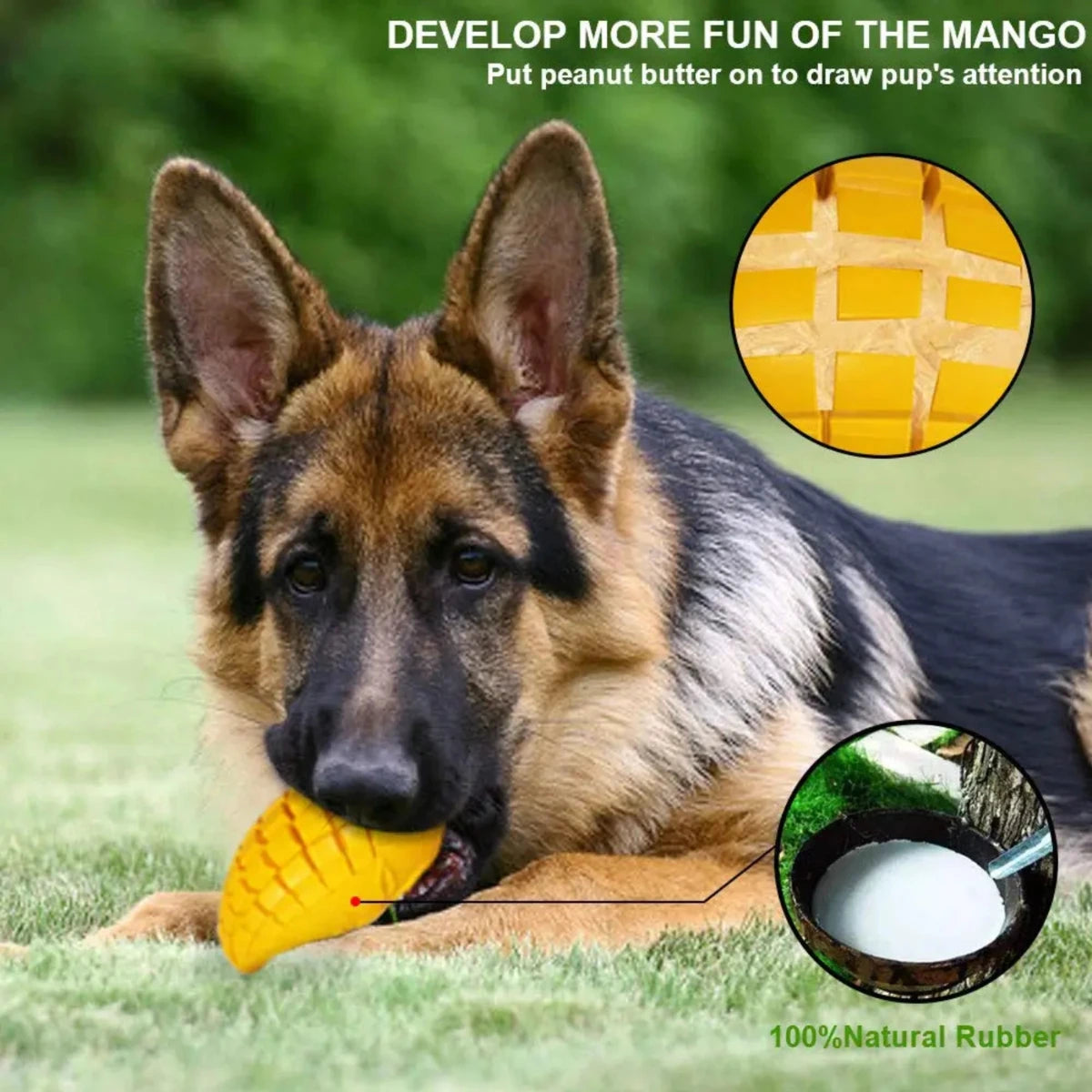 Mango Indestructible Tough Dog Chew Toy