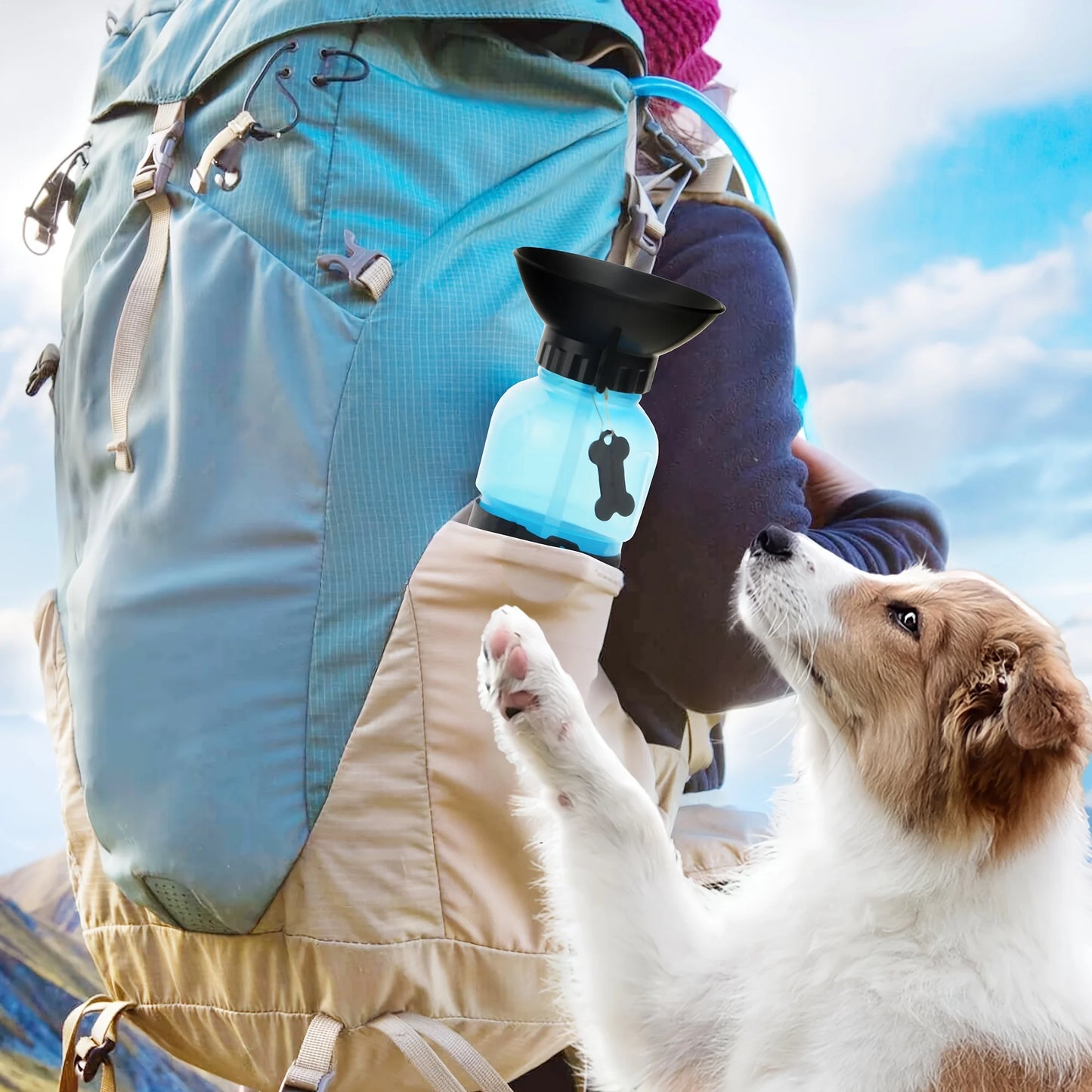 Plastic Portable/Travel Pet Water Bottle