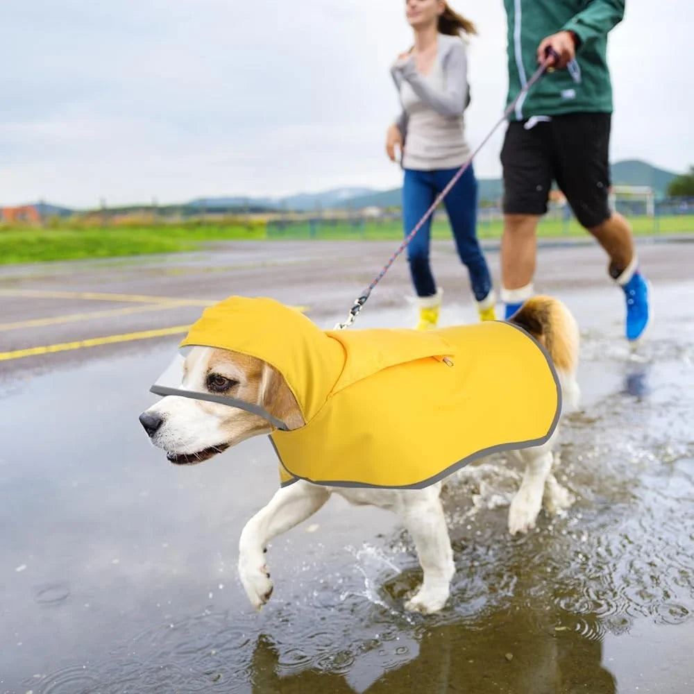 Waterproof Dog Travel Raincoat/Poncho with Hood