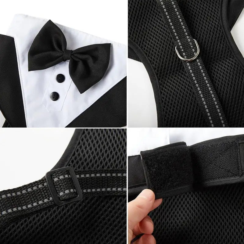 Dogs Tuxedo Bowtie Wedding Party Suit