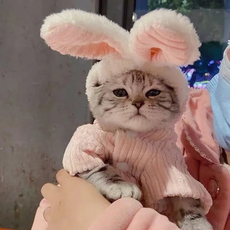 Warm Winter Pet Cute Bunny Ear Coat