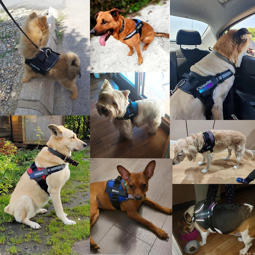 Dog Harness NO PULL Reflective