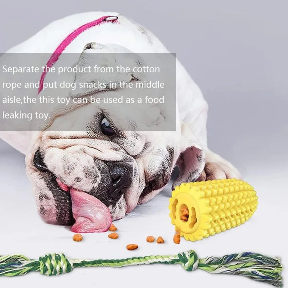 Corn on the Cob Dog Squeaky Toy