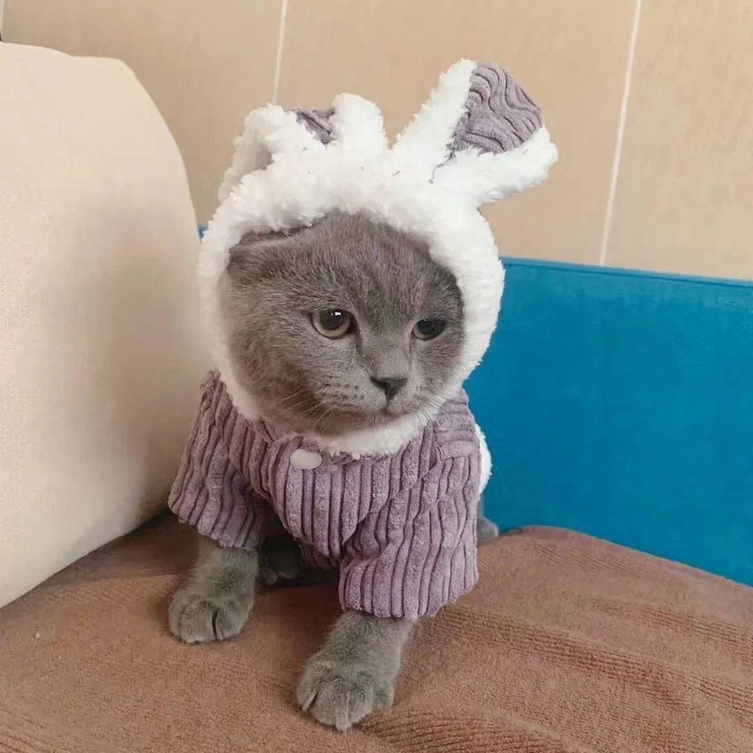 Warm Winter Pet Cute Bunny Ear Coat