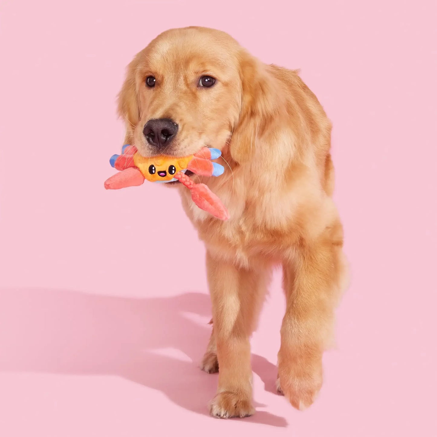 Plush Crab Pet Toy