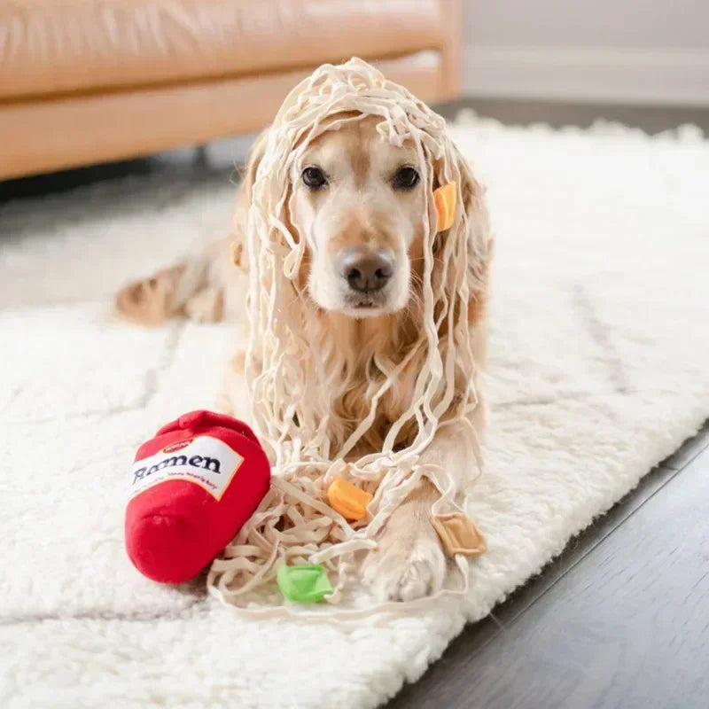 Dogs Snuffle Training Ramen Noodle Toys