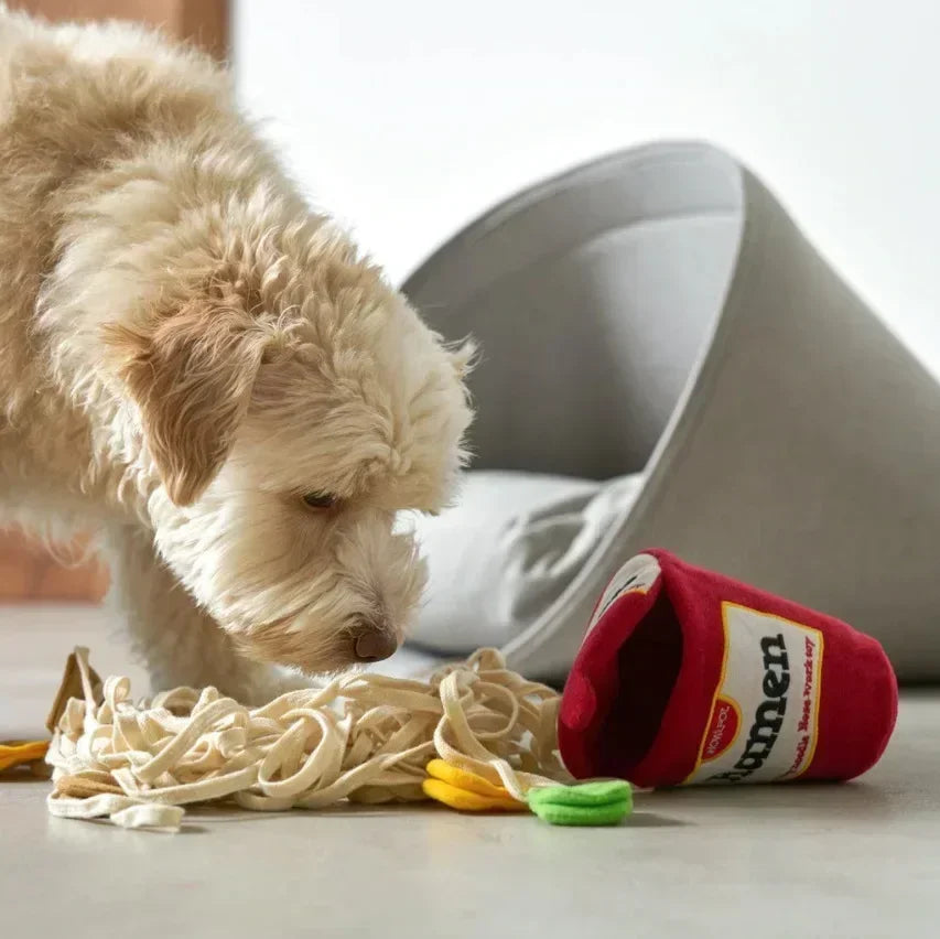 Dogs Snuffle Training Ramen Noodle Toys