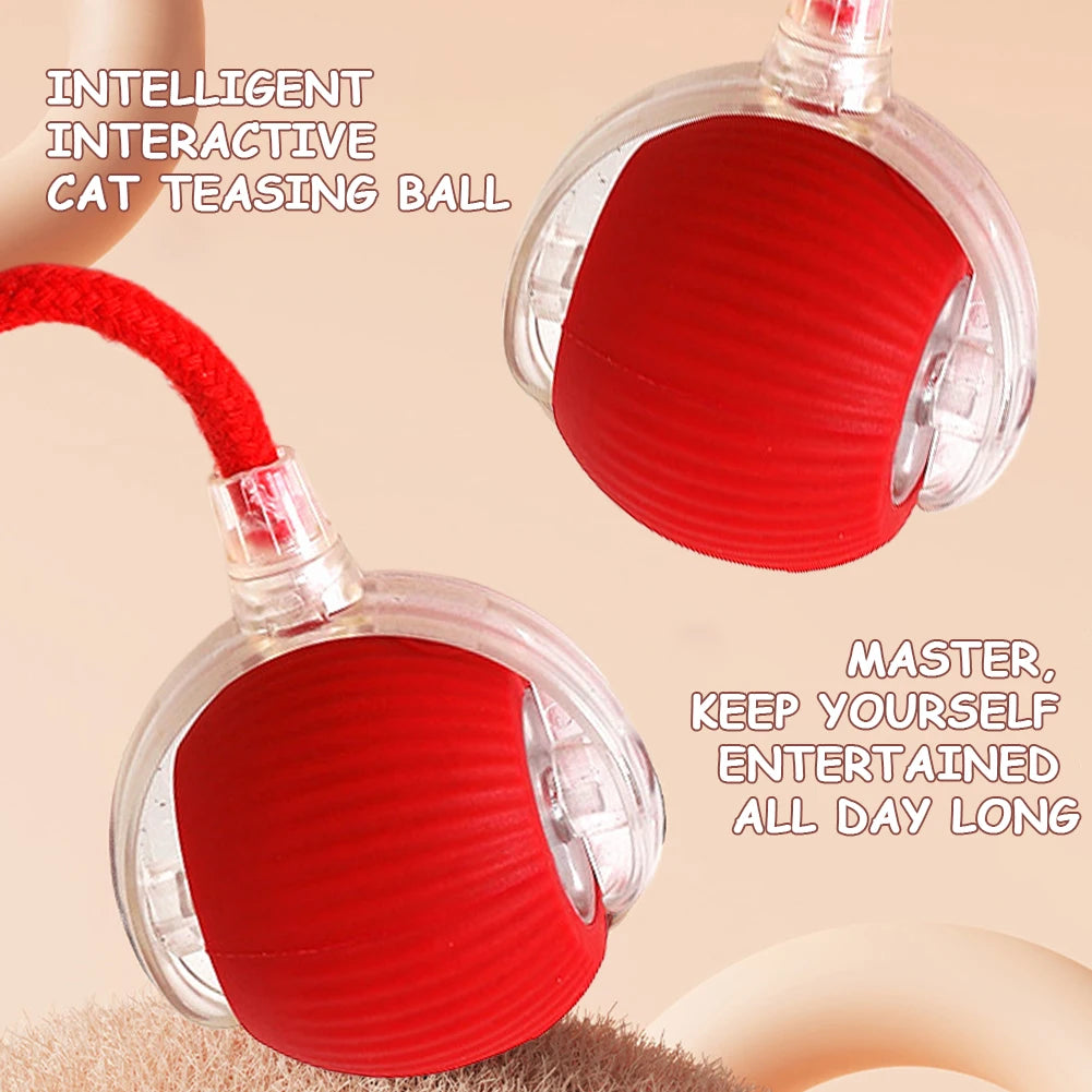 2PC/1PC Cat Interactive Automatic Rechargeable Rolling Ball Toys