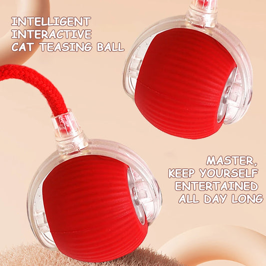 2PC/1PC Cat Interactive Automatic Rechargeable Rolling Ball Toys