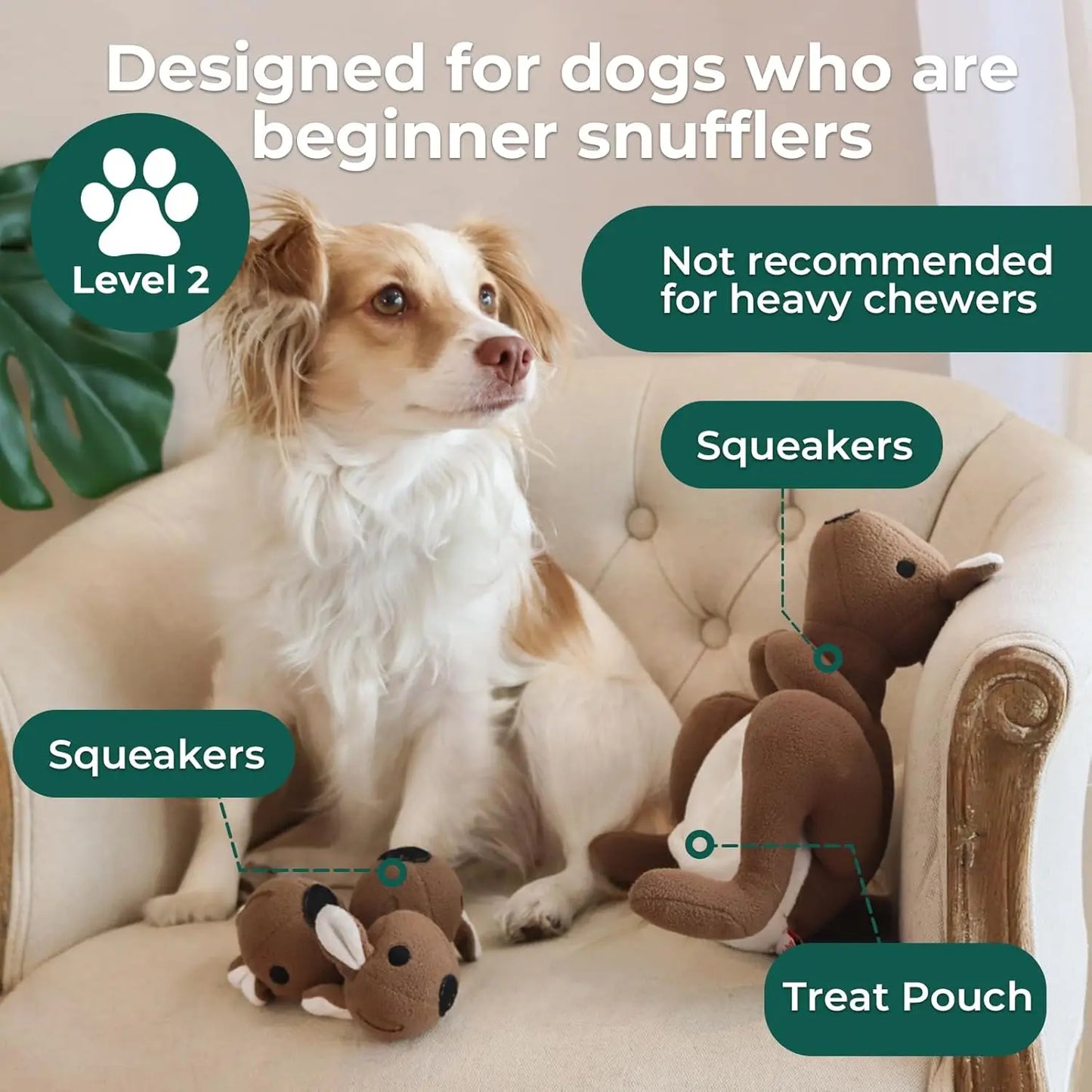 Interactive Pet Plush Kangaroo Squeak & Treat Pouch
