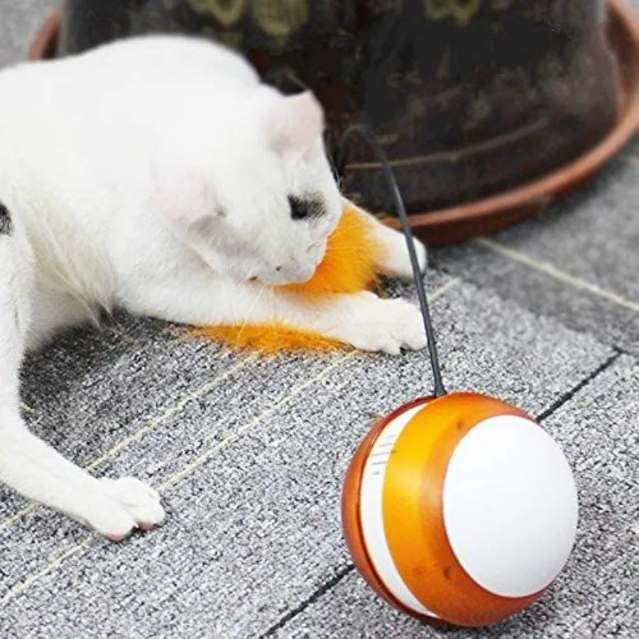 Cat Automatic 360-degree Self Rotating LED Feather and Ball Toy