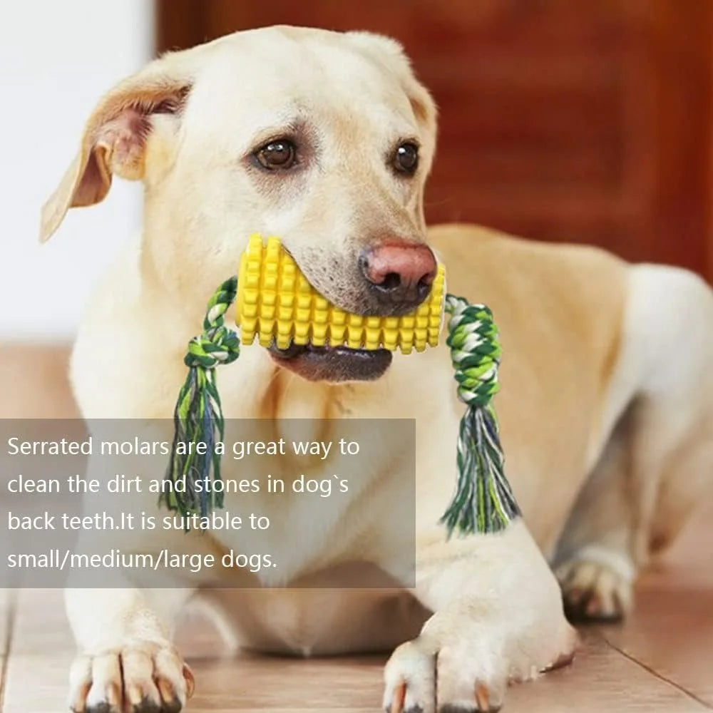 Corn on the Cob Dog Squeaky Toy
