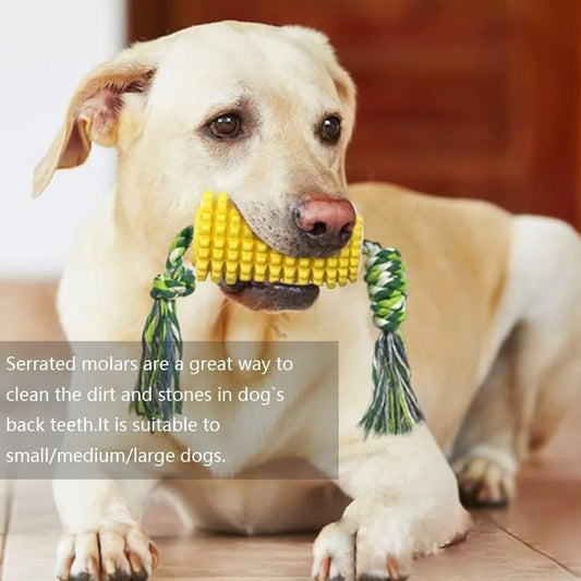 Corn on the Cob Dog Squeaky Toy