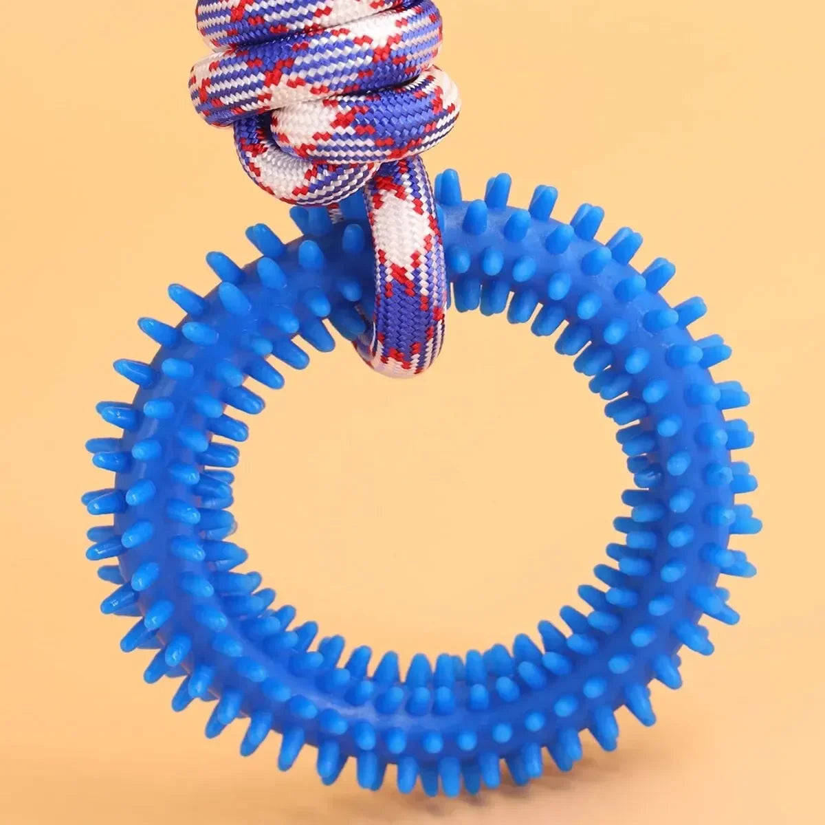 Interactive Pet Training Spiked Ring Rope Toy