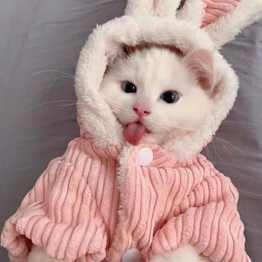 Warm Winter Pet Cute Bunny Ear Coat