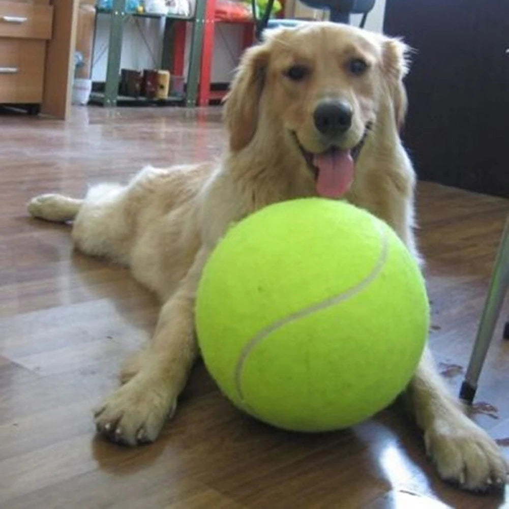 9.5 inch Giant Pet Tennis Ball Chewing Toy