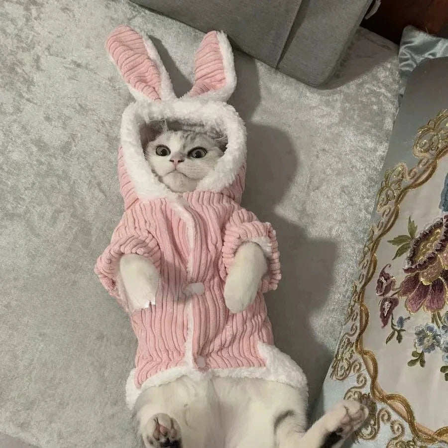 Warm Winter Pet Cute Bunny Ear Coat