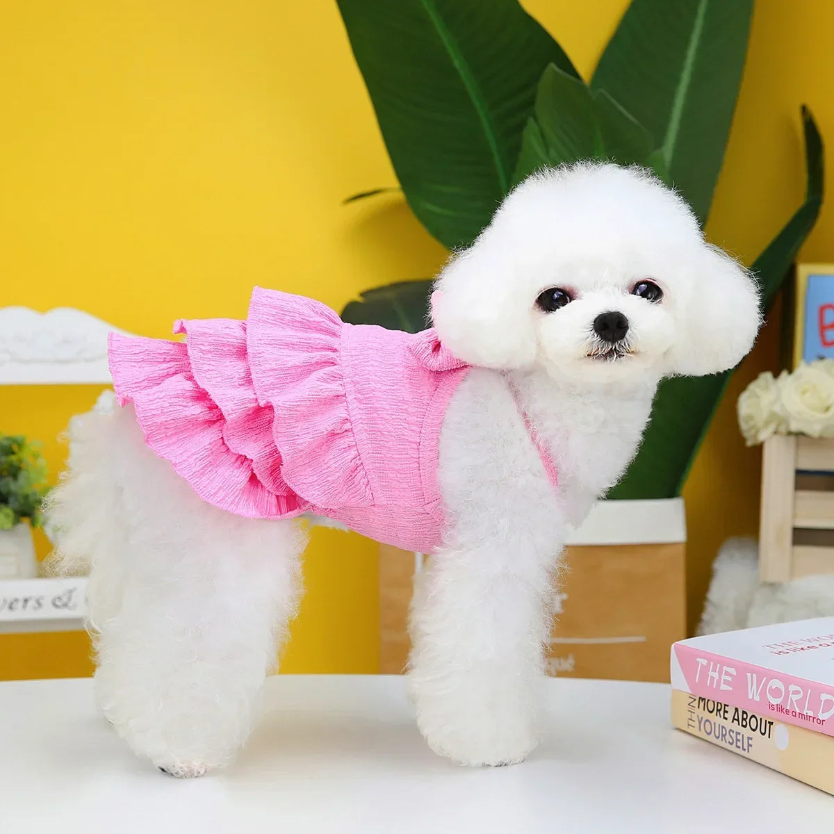 Bright Pet Princess Dresses/Outfits Small