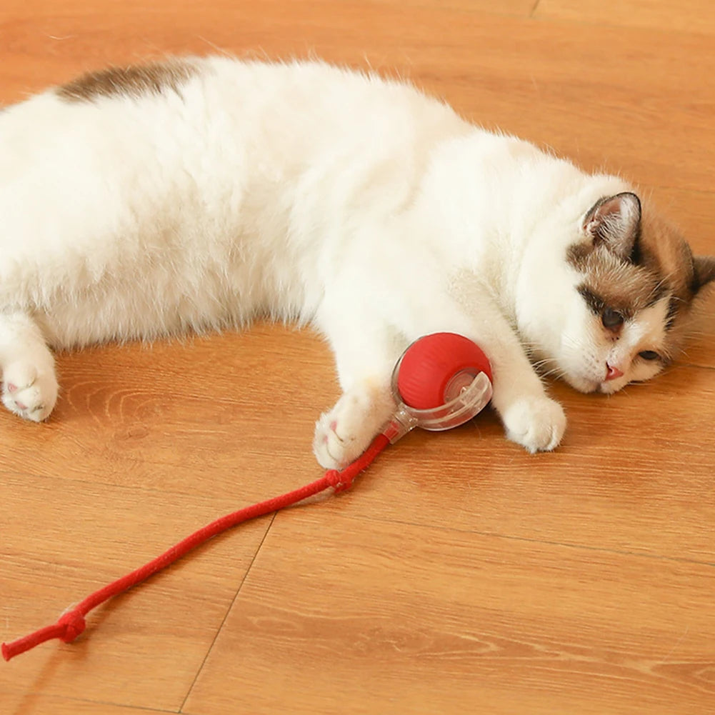 2PC/1PC Cat Interactive Automatic Rechargeable Rolling Ball Toys