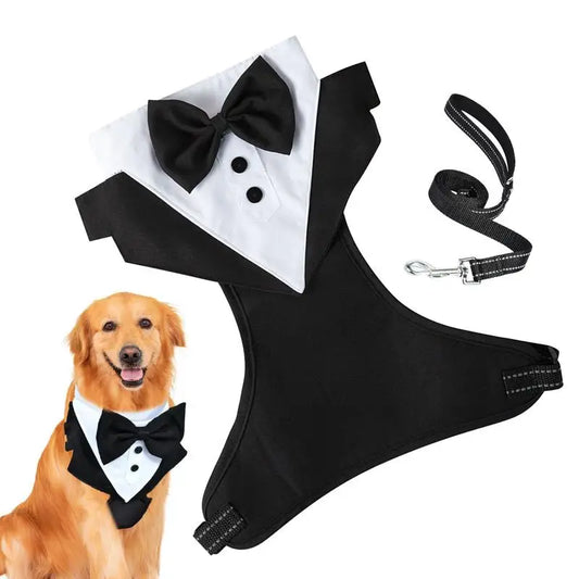 Dogs Tuxedo Bowtie Wedding Party Suit
