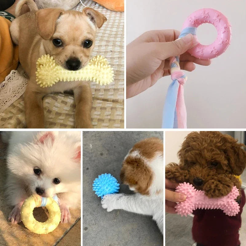 Pet Bite Resistant Molar Teeth Cleaning Chew Toy