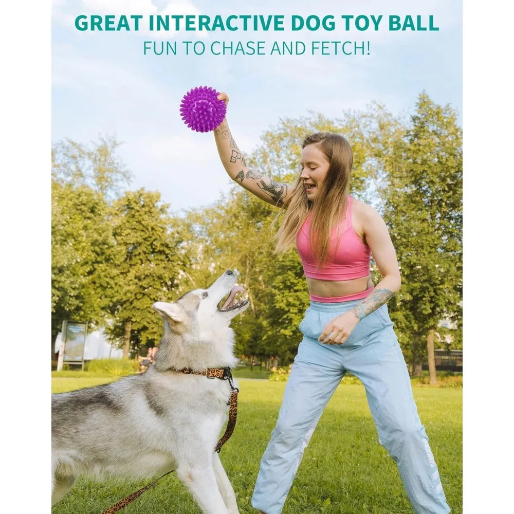 Heavy Duty Pet Squeaky Spikey Chew Ball Toy