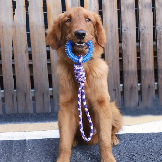 Interactive Pet Training Spiked Ring Rope Toy