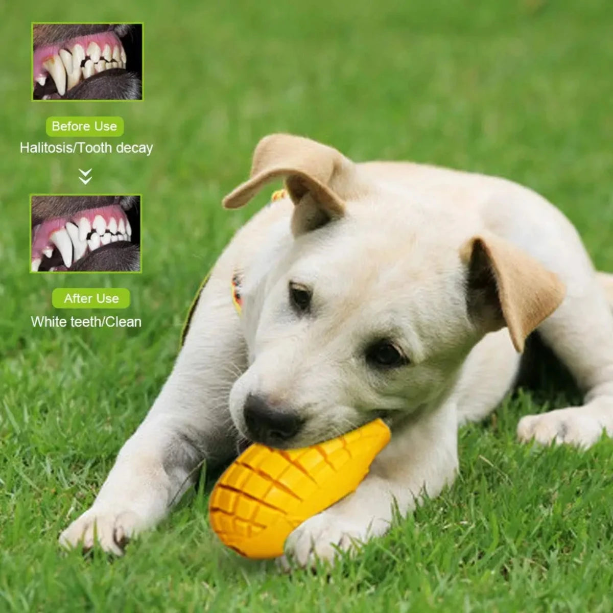 Mango Indestructible Tough Dog Chew Toy