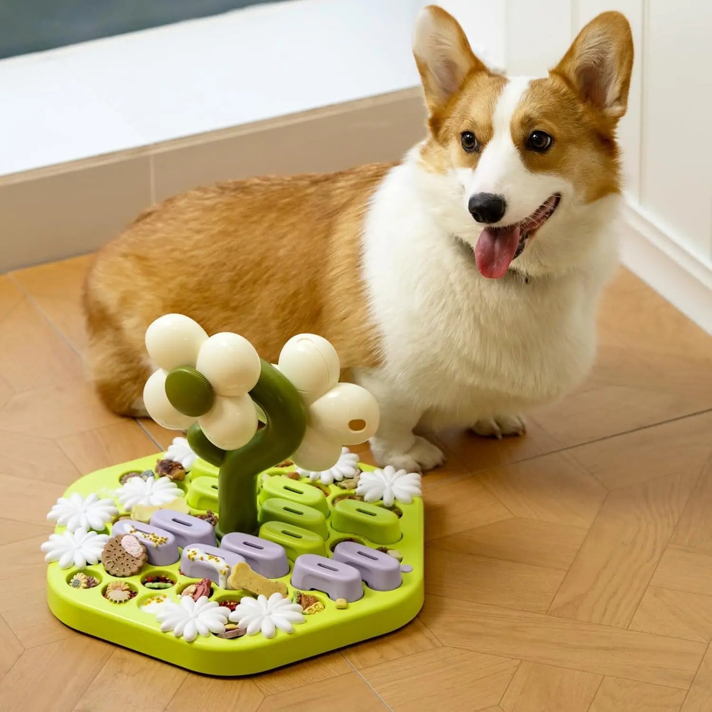 Dog Puzzle Enrichment, Training Interactive Toys for All Breeds