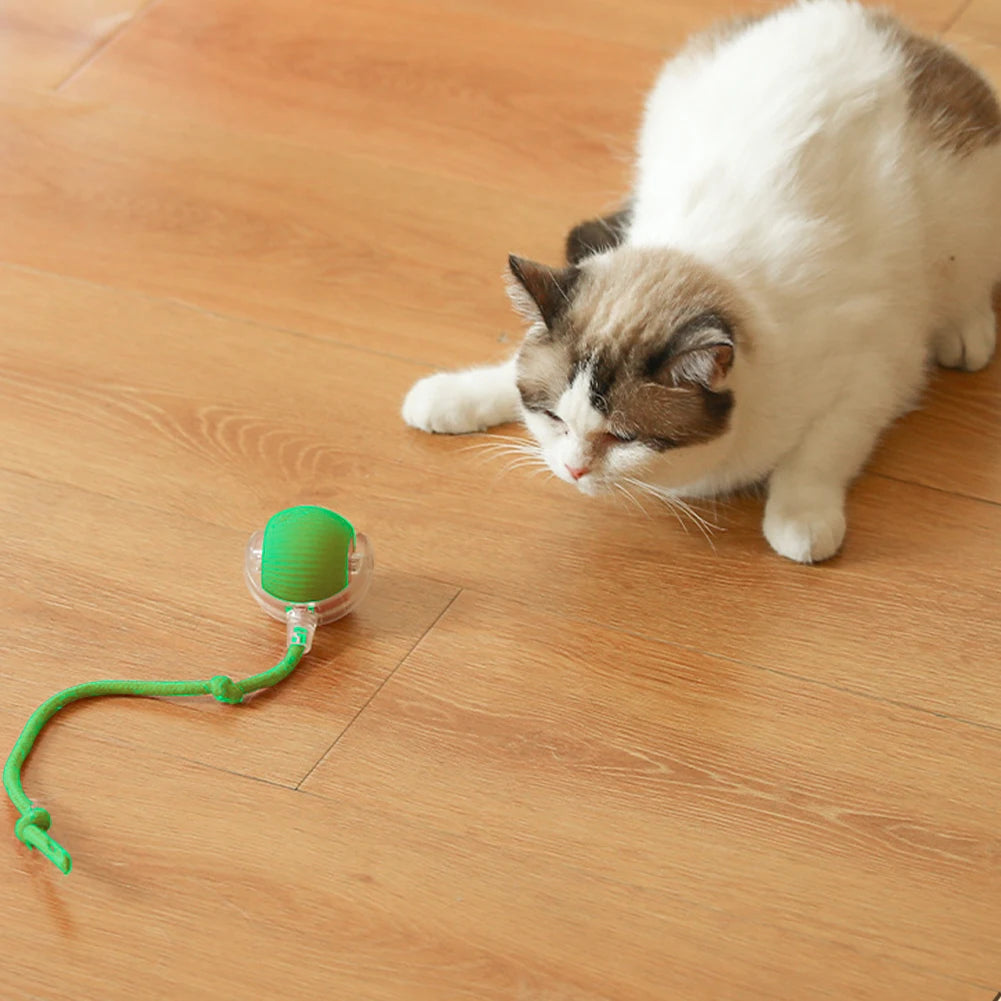 2PC/1PC Cat Interactive Automatic Rechargeable Rolling Ball Toys