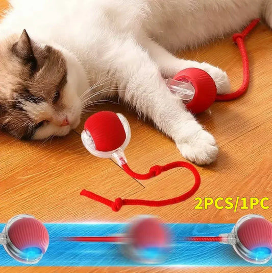 2PC/1PC Cat Interactive Automatic Rechargeable Rolling Ball Toys