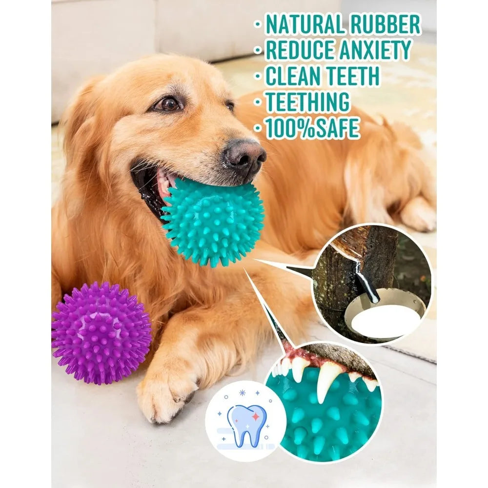 Heavy Duty Pet Squeaky Spikey Chew Ball Toy