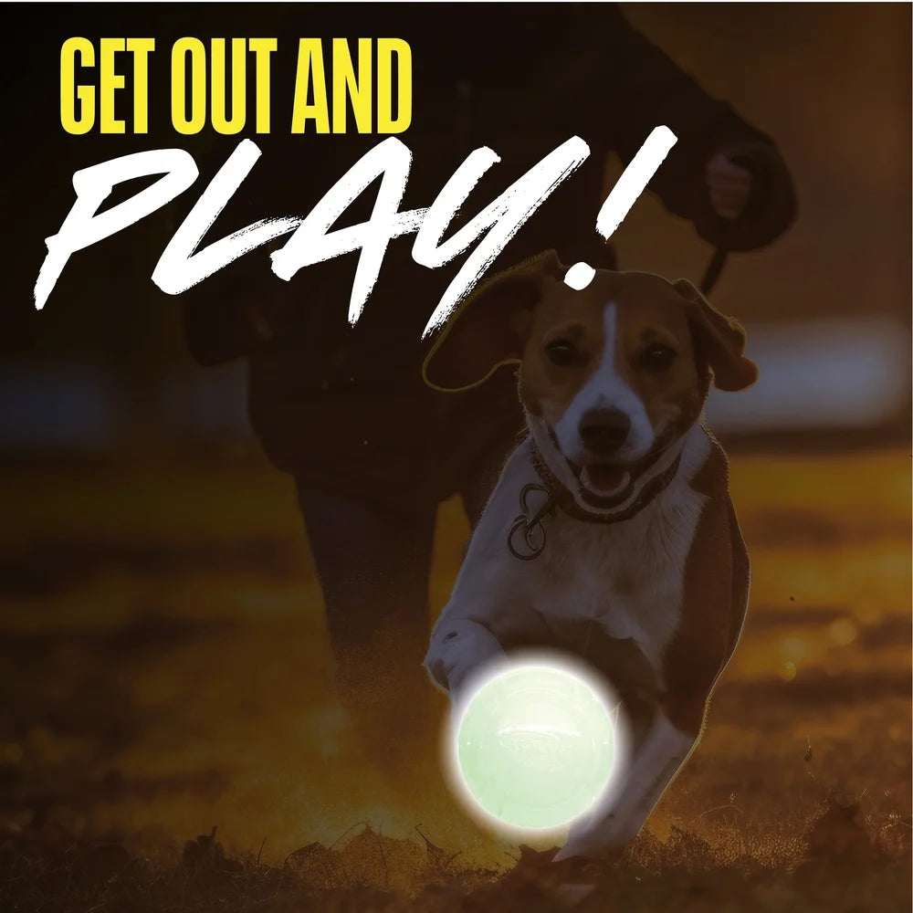 Interactive LED Light up Glow Pet Toy Ball Durable TPR Various Shapes and Sizes