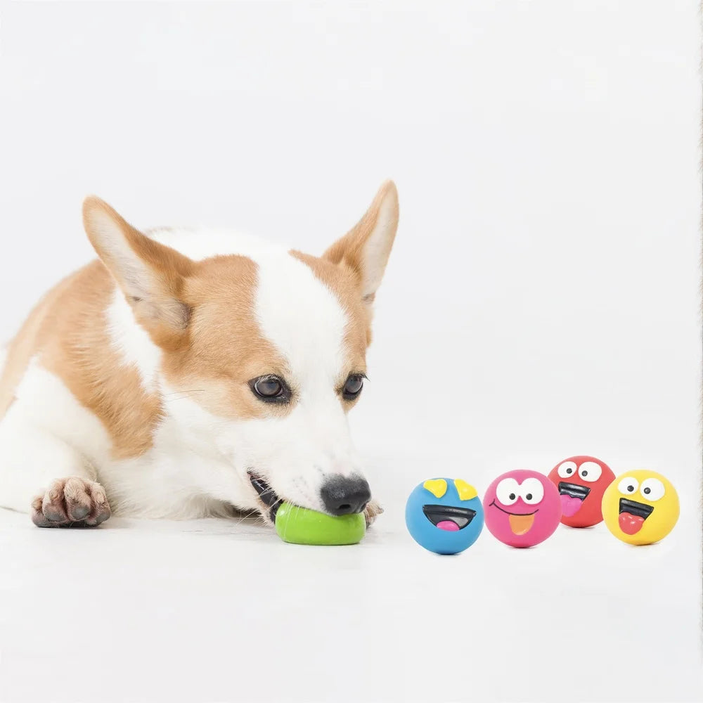 5 Pack Emoji Pet Squeaky Chewable Fetch Toy