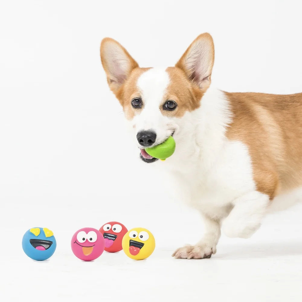 5 Pack Emoji Pet Squeaky Chewable Fetch Toy