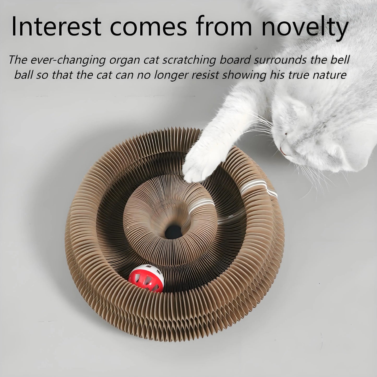 Cat Scratching Board with Bell Toy, Interactive Play & Stress Relief