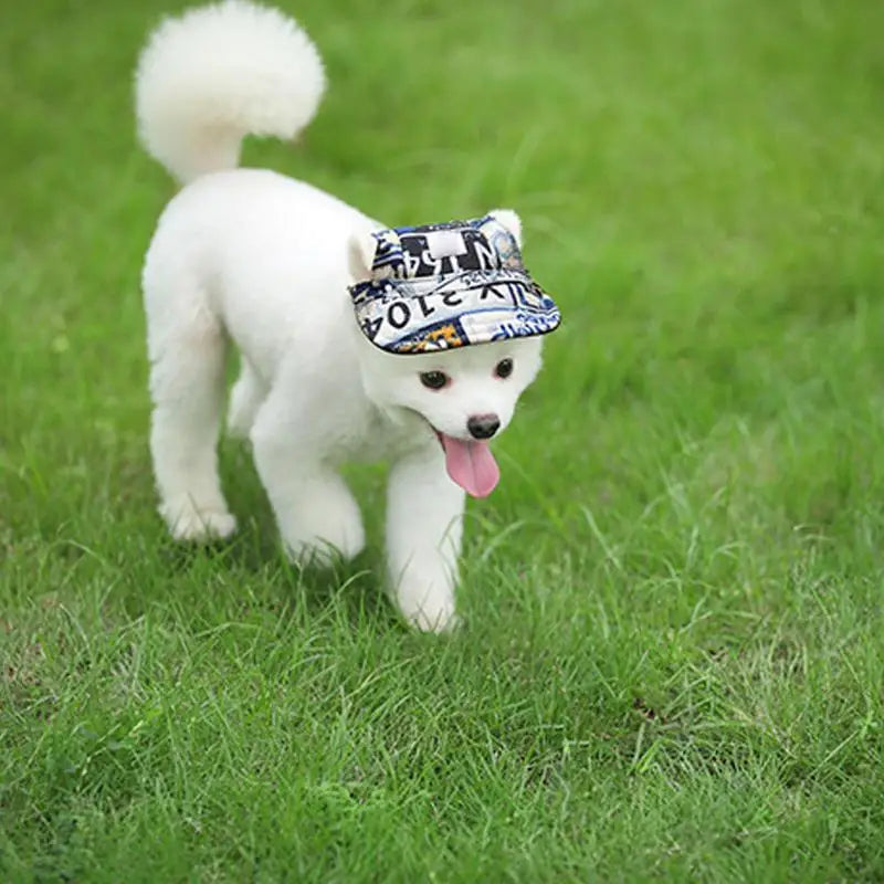 Dog Sun Protection Baseball Hat With Ear Holes Travel
