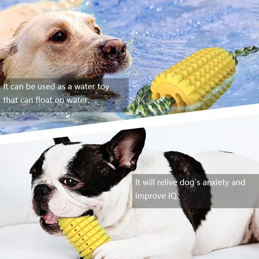 Corn on the Cob Dog Squeaky Toy